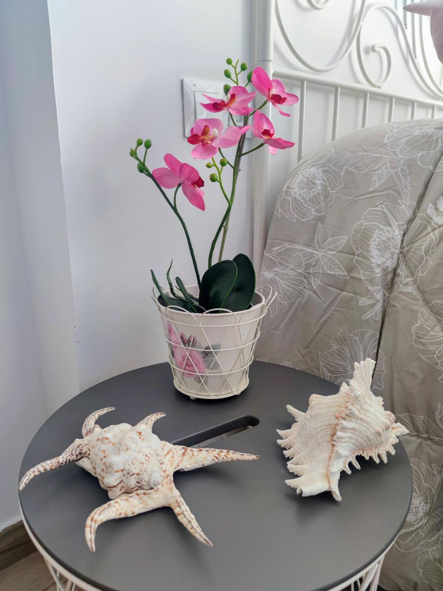 Beach Studio Torremolinos Extérieur photo